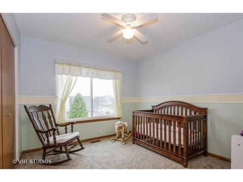 10338 Brighton Ln, Huntley, IL 60142 photo 17