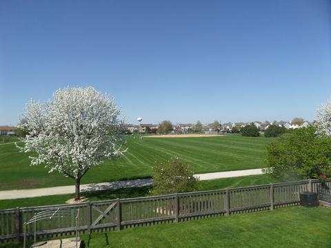 10338 Brighton Ln, Huntley, IL 60142 photo 24