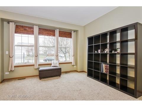 10338 Brighton Ln, Huntley, IL 60142 photo 3