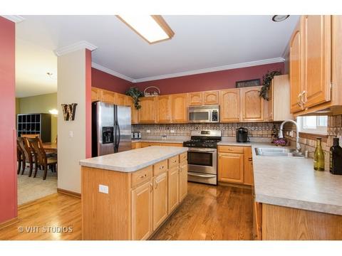 10338 Brighton Ln, Huntley, IL 60142 photo 4