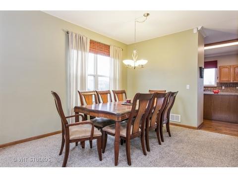 10338 Brighton Ln, Huntley, IL 60142 photo 6