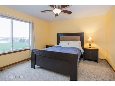 10338 Brighton Ln, Huntley, IL 60142 photo 16