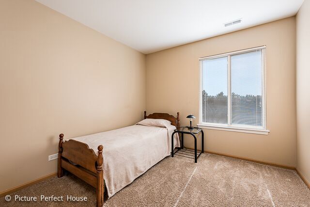 3410 Veronica St, Plano, IL 60545 photo 12