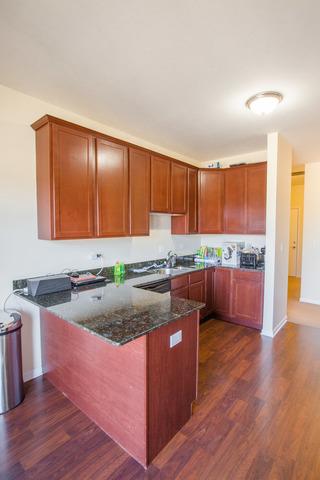 271 E Railroad Ave #207, Bartlett, IL 60103 photo 10