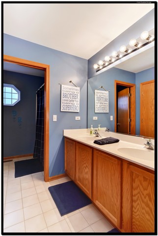 1805 Arbor Gate Dr, Plainfield, IL 60586 photo 23