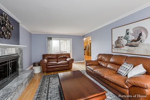 609 E Bauer Rd, Naperville, IL 60563 photo 10