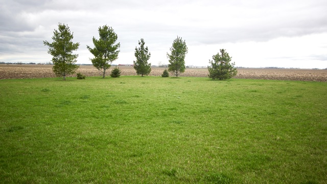 10515 Ashley Rd, Morris, IL 60450 photo 24