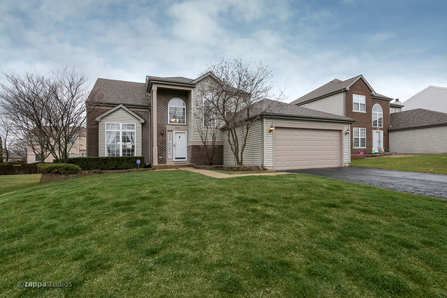 228 Moorehead Dr, Bartlett, IL 60103 photo 1