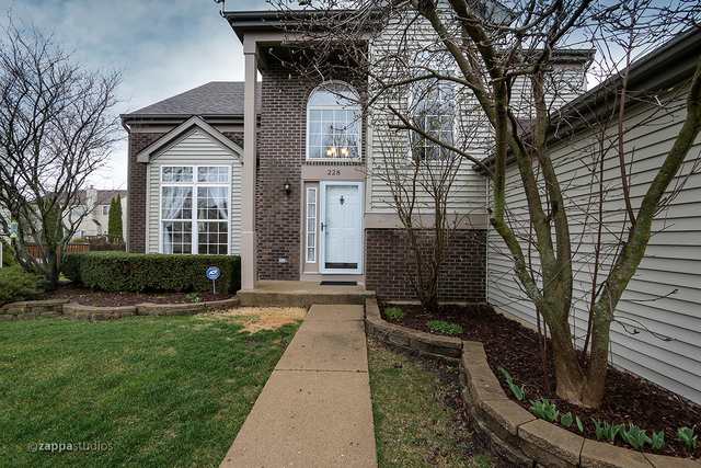 228 Moorehead Dr, Bartlett, IL 60103 photo 3