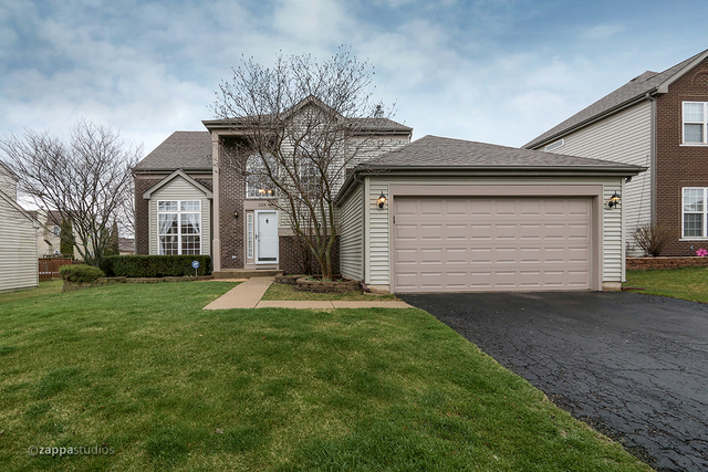 228 Moorehead Dr, Bartlett, IL 60103 photo 2