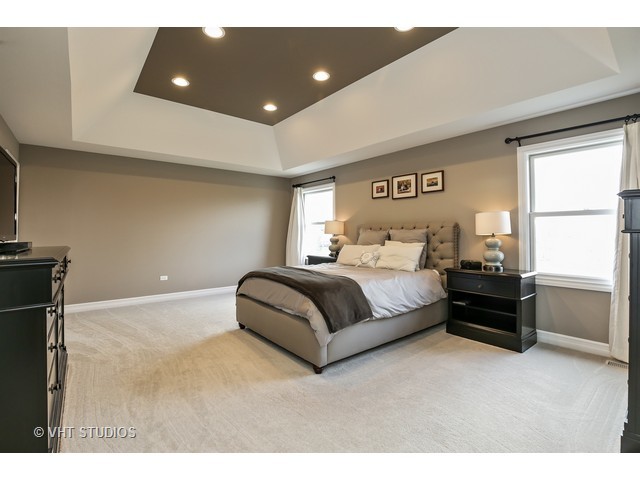 740 Winged Elm, Elgin, IL 60124 photo 20