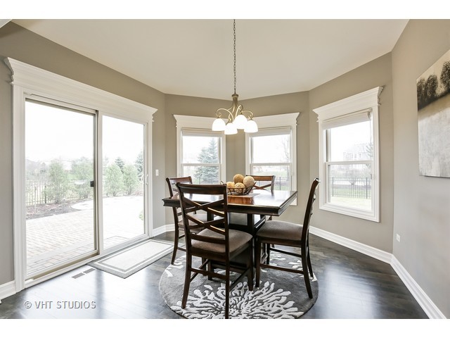 740 Winged Elm, Elgin, IL 60124 photo 9