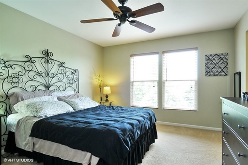 24225 Bristol Ave, Plainfield, IL 60585 photo 9