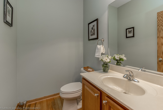 11915 Winterberry Ln, Plainfield, IL 60585 photo 9