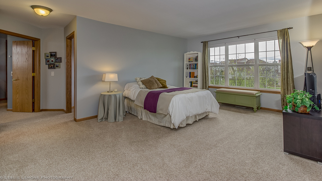 11915 Winterberry Ln, Plainfield, IL 60585 photo 14