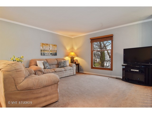 247 Ord Ct, Bartlett, IL 60103 photo 2