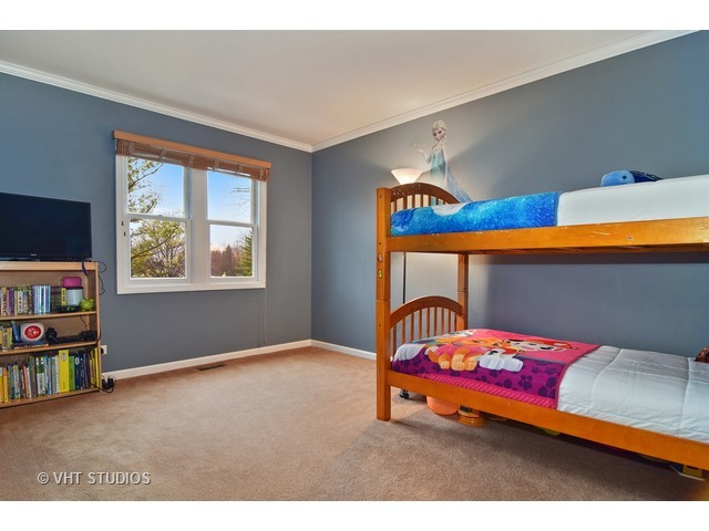 247 Ord Ct, Bartlett, IL 60103 photo 9
