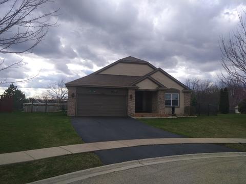 3901 Cherry Tree Ct, Joliet, IL 60435 photo 1