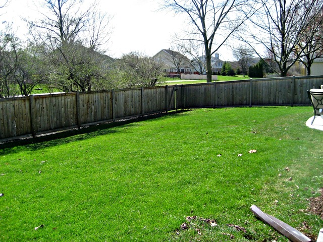989 Balsam Ln, Bartlett, IL 60103 photo 23