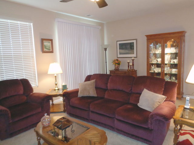 843 Butterfly Field Dr, Elgin, IL 60124 photo 13