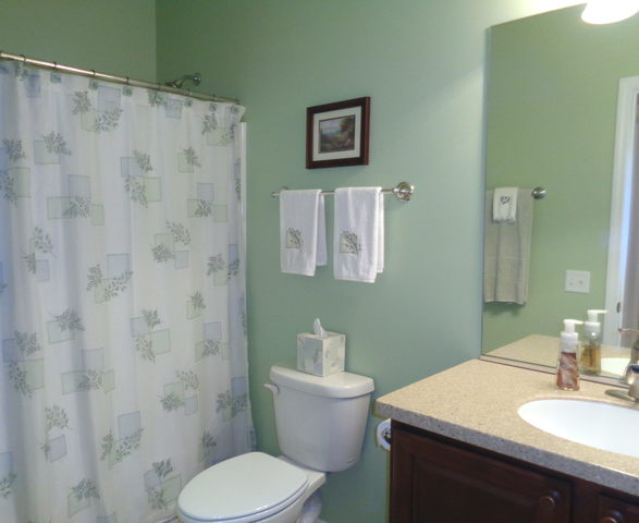 843 Butterfly Field Dr, Elgin, IL 60124 photo 9
