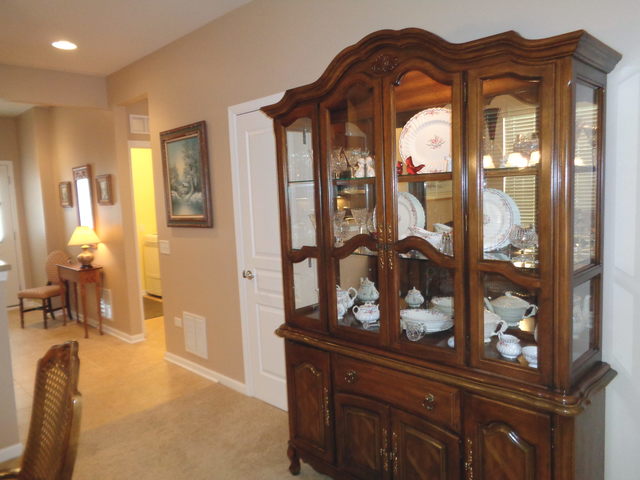 843 Butterfly Field Dr, Elgin, IL 60124 photo 11
