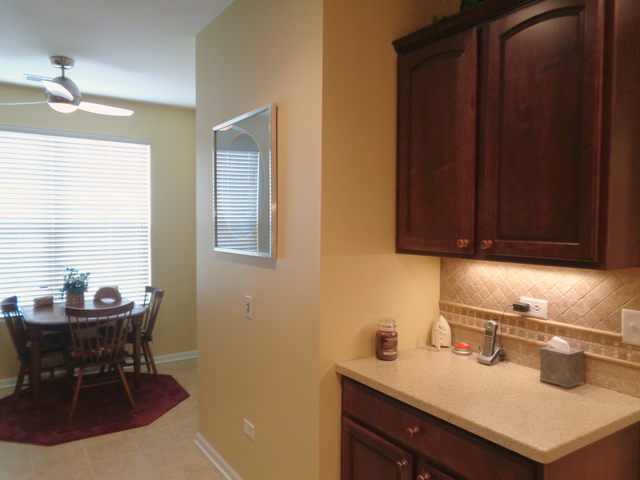 843 Butterfly Field Dr, Elgin, IL 60124 photo 7