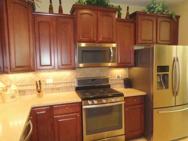 843 Butterfly Field Dr, Elgin, IL 60124 photo 4