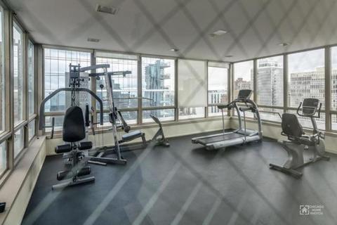 30 Elm St #3C, Chicago, IL 60611 photo 16