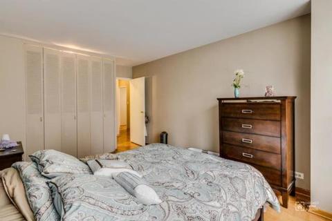 30 Elm St #3C, Chicago, IL 60611 photo 8