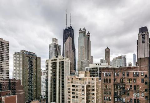 30 Elm St #3C, Chicago, IL 60611 photo 12