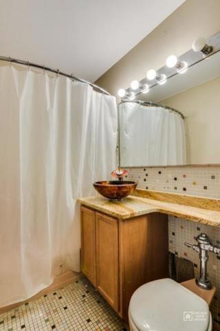 30 Elm St #3C, Chicago, IL 60611 photo 9