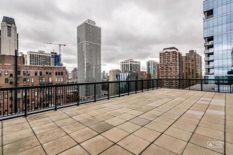 30 Elm St #3C, Chicago, IL 60611 photo 11