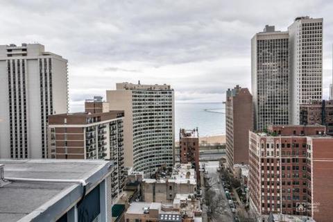30 Elm St #3C, Chicago, IL 60611 photo 14
