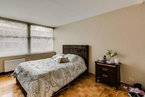 30 Elm St #3C, Chicago, IL 60611 photo 7