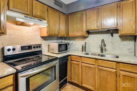 30 Elm St #3C, Chicago, IL 60611 photo 4
