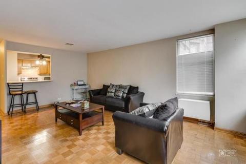 30 Elm St #3C, Chicago, IL 60611 photo 5