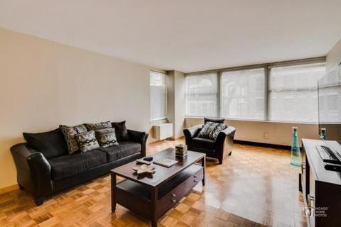 30 Elm St #3C, Chicago, IL 60611 photo 3