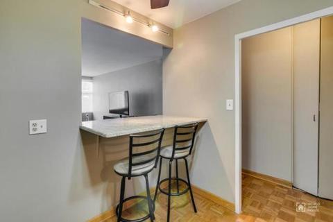 30 Elm St #3C, Chicago, IL 60611 photo 6