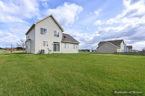 1009 Daniel St, Plano, IL 60545 photo 24