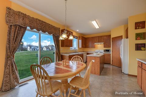 1009 Daniel St, Plano, IL 60545 photo 14