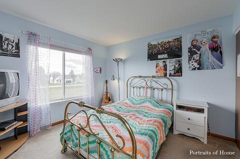 1009 Daniel St, Plano, IL 60545 photo 19