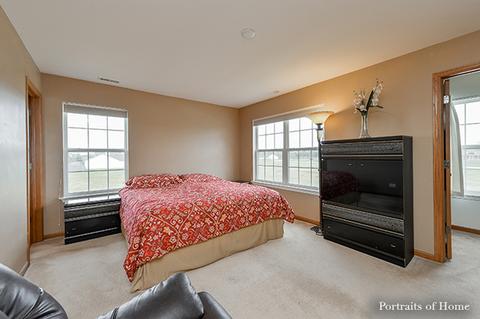 1009 Daniel St, Plano, IL 60545 photo 16
