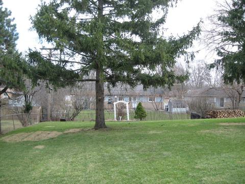 391 Pleasant St, Hoffman Estates, IL 60169 photo 3