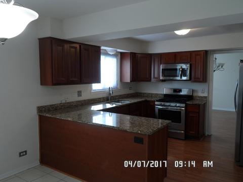 20641 Promethian Way, Olympia Fields, IL 60461 photo 5
