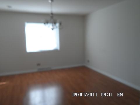 20641 Promethian Way, Olympia Fields, IL 60461 photo 3