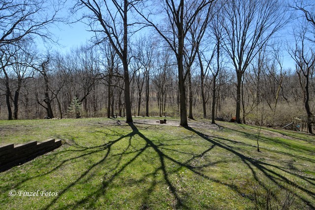 634 Gaslight Dr, Algonquin, IL 60102 photo 25