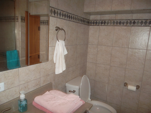 8216 45th Pl, Lyons, IL 60534 photo 3