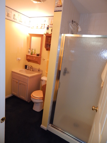 11285 Timer Dr, Huntley, IL 60142 photo 13