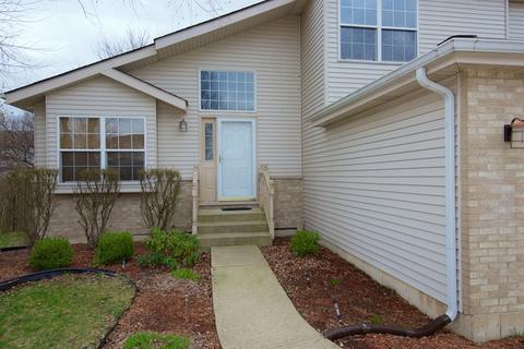 5316 Sunmeadow Dr, Plainfield, IL 60586 photo 3